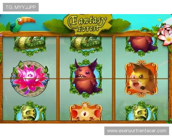 新手必看老虎机玩法指南：从入门到高手的完整操作流程