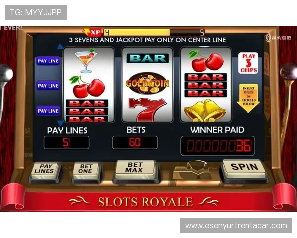 老虎机稳赢玩法全攻略，提升你的游戏胜率和盈利能力